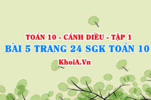 Bài 5 trang 24 SGK Toán 10 tập 1 Cánh Diều